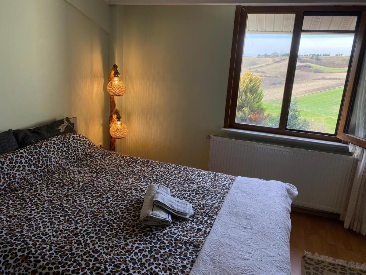 Arnavutkoy Havalimanina Yakin Orman Icinde Ferah Villa1 المظهر الخارجي الصورة